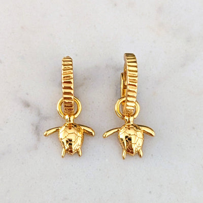 18 carat gold plated ammonite hoop earrings