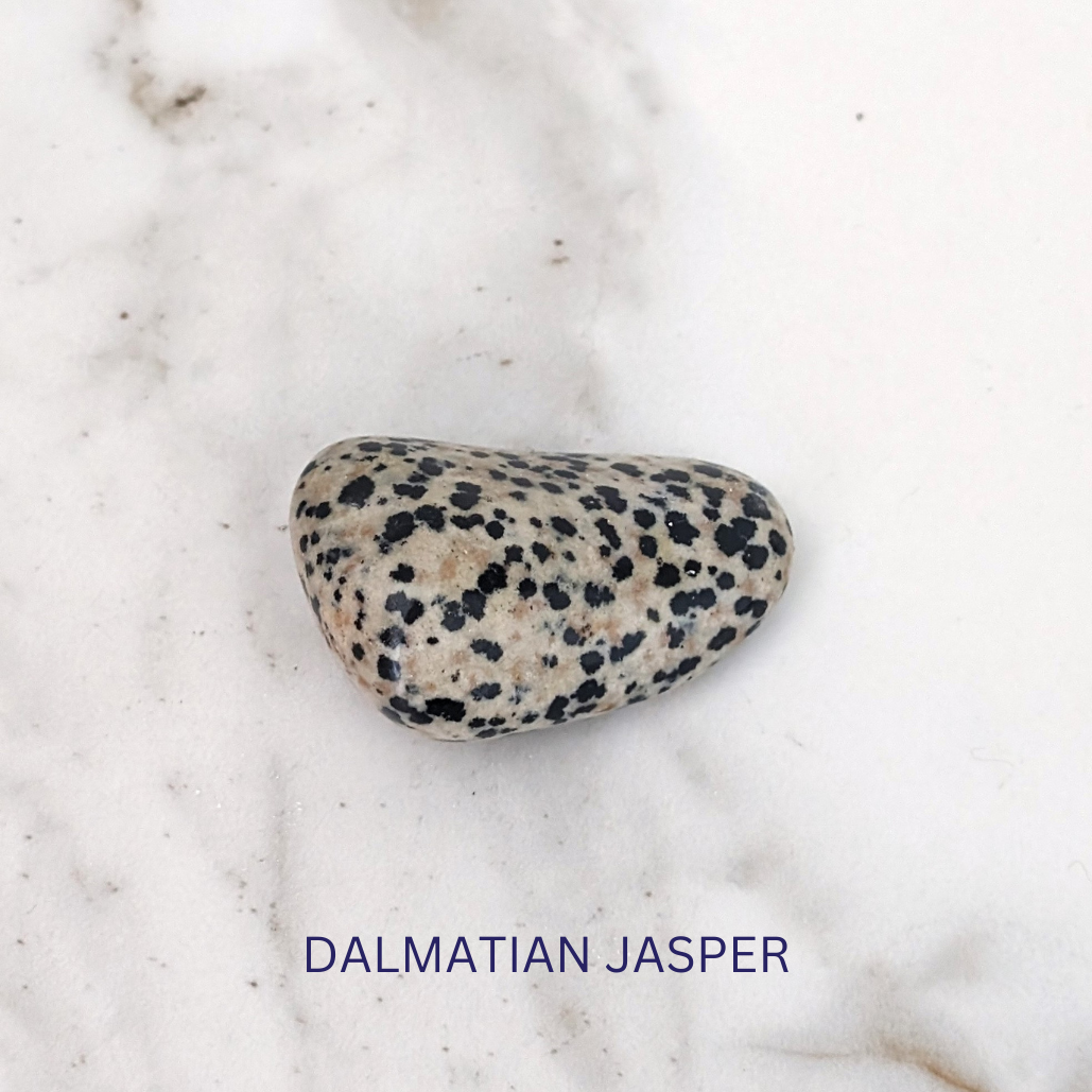 dalmatian jasper