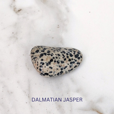dalmatian jasper