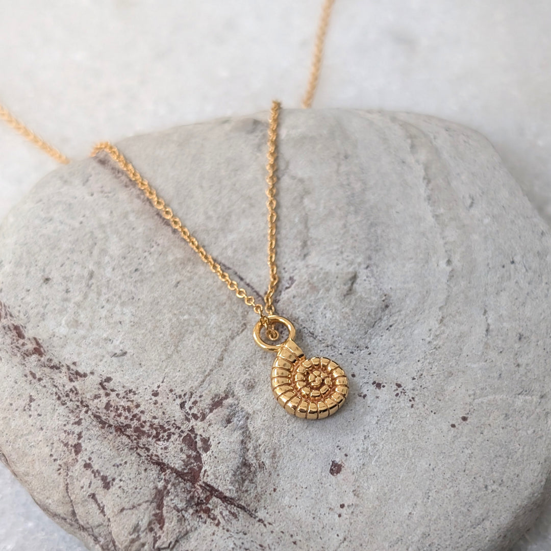 gold ammonite charm pendant necklace