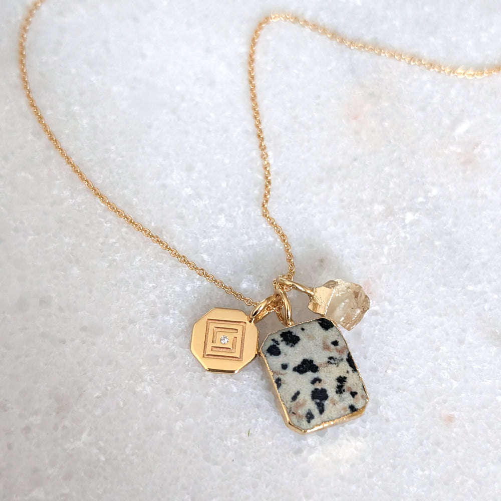 Gold necklace with a dalmatian jasper pendant 