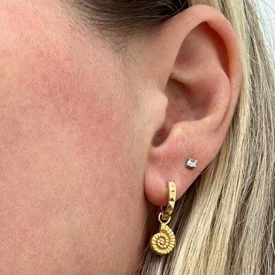 Gold ammonite hoop huggie earrings 