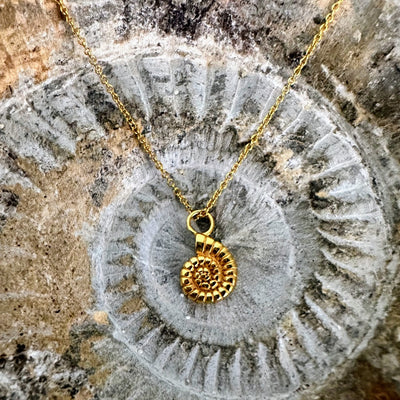 Gold plated ammonite charm pendant necklace