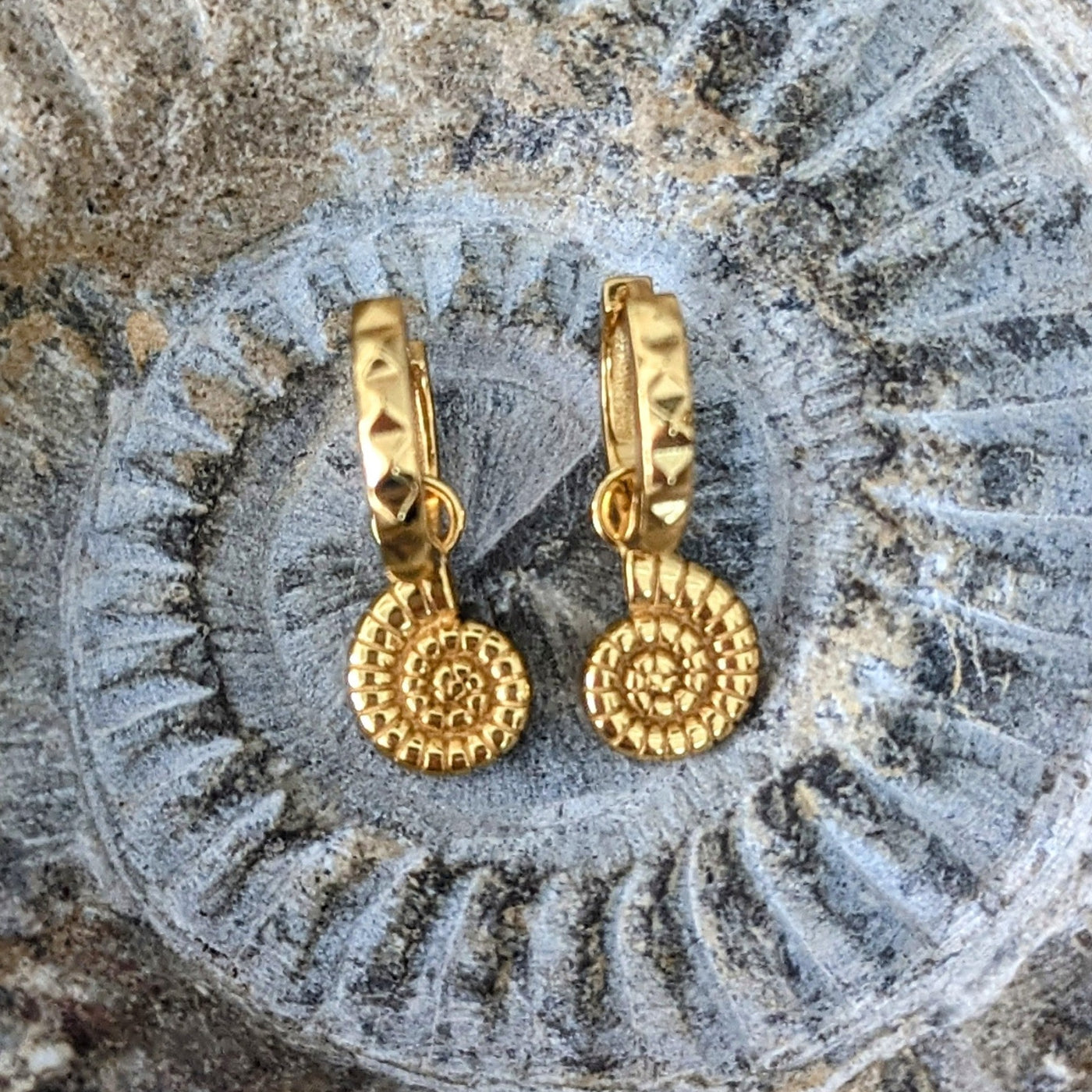 Gold plated ammonite hoop earrings 